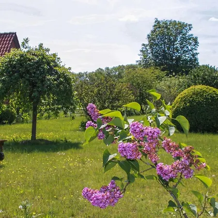 Waldhaus Am Rehrhof Obergeschoss Apartamento
